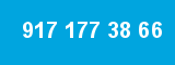 917 177 38 66 917 177 38 66